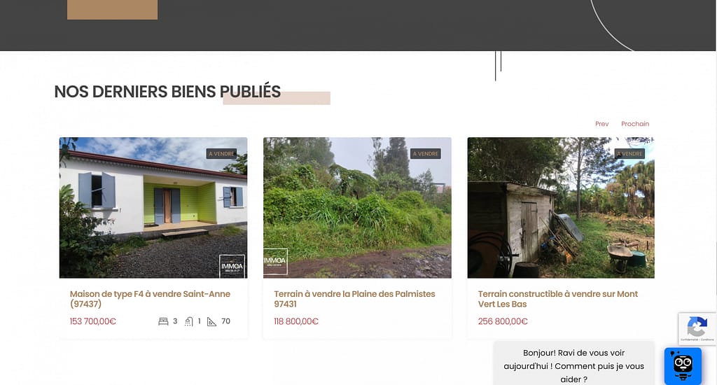 IMMOA : seo & visibilité