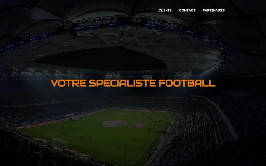 Aperçu du site Sport And Travel Services