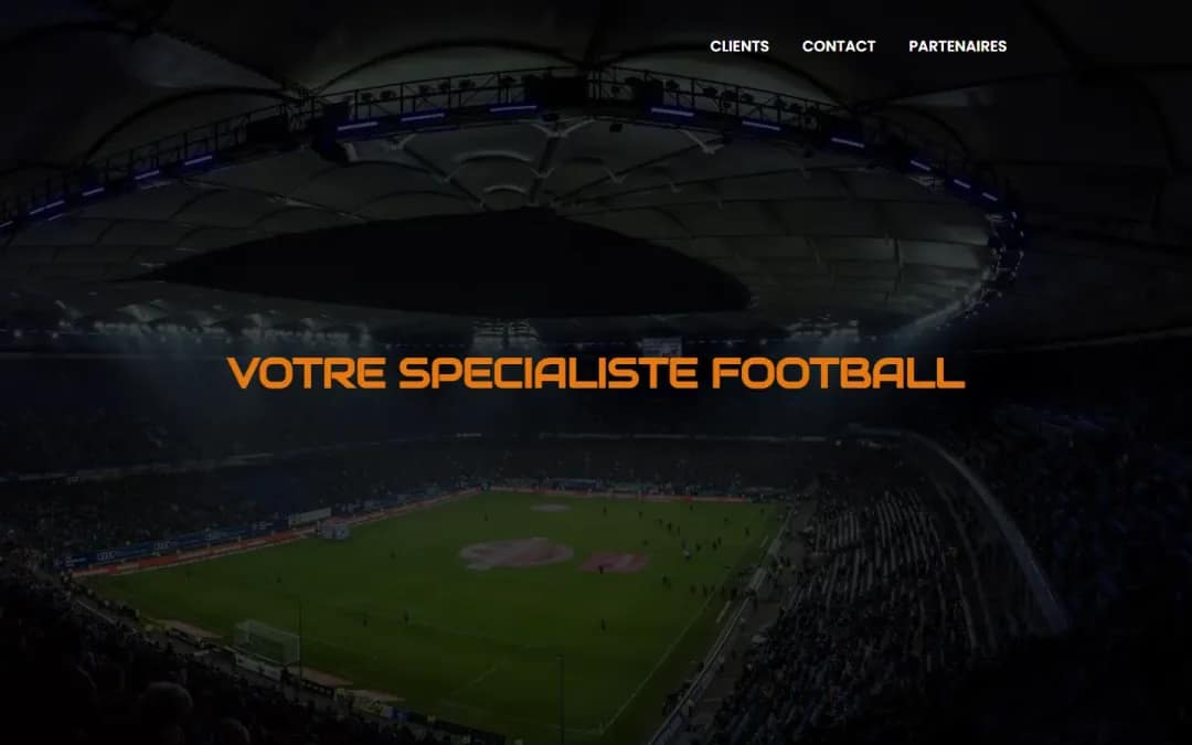 Aperçu de la réalisation Sport And Travel Services